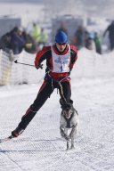 Lenk 2013